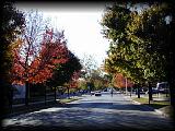 pa203091.jpg 6.1K