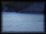 pc265024.jpg 4.1K
