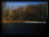 pc265039.jpg 3.9K