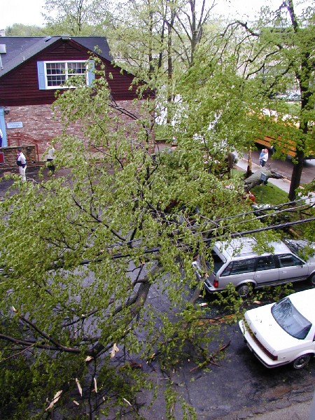 p4208755.jpg 136.7K