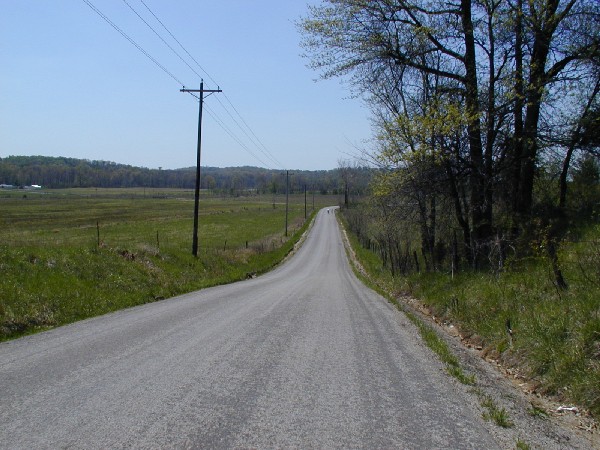 p4309516.jpg 87.3K