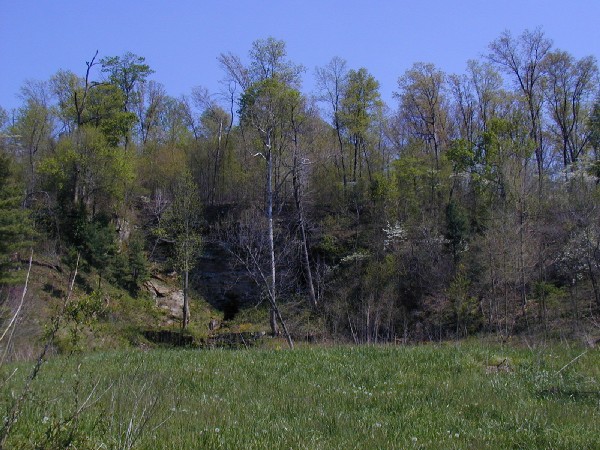 p4309547.jpg 99.7K
