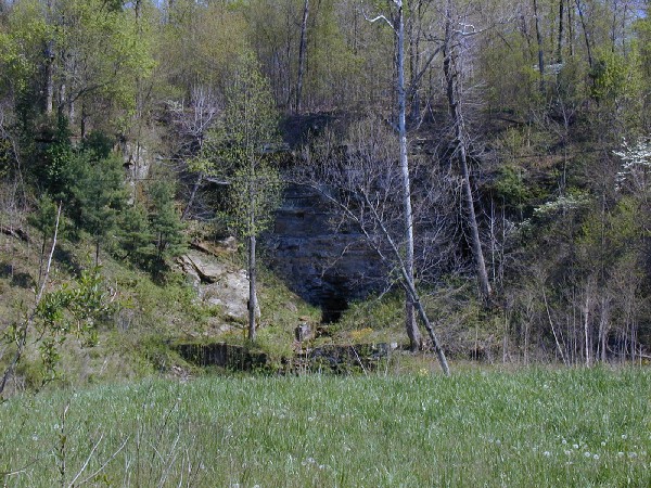 p4309548.jpg 126.7K