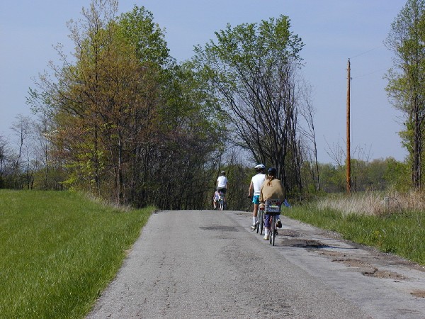 p4309557.jpg 99.6K