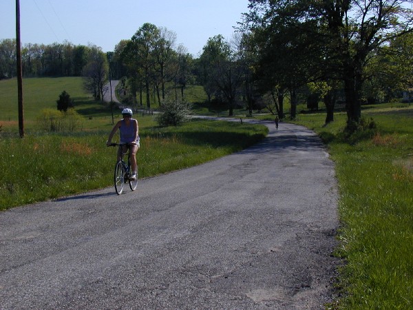 p4309565.jpg 94.6K