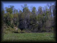 p4309547.jpg 7.3K