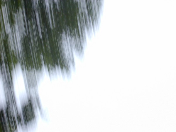 p6183837.jpg 30.4K