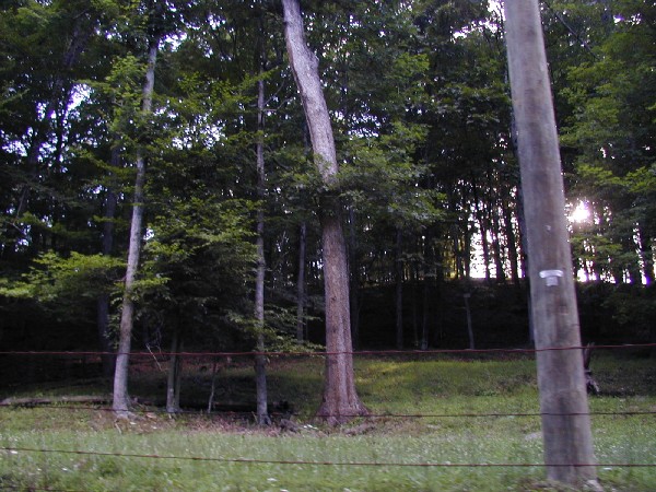 p6224084.jpg 99.3K