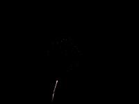 p7045384.jpg 1.3K