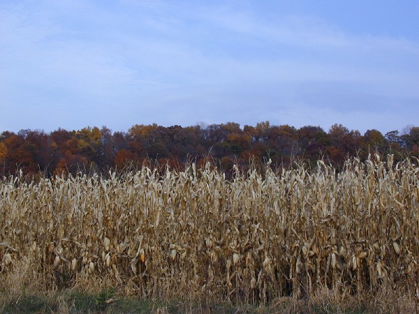 pa213090.jpg 84.2K