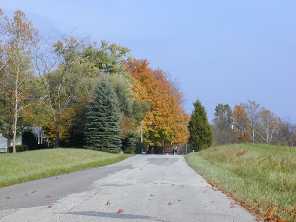 pa213098.jpg 71.7K