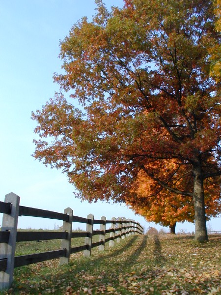 pa213107.jpg 114.1K