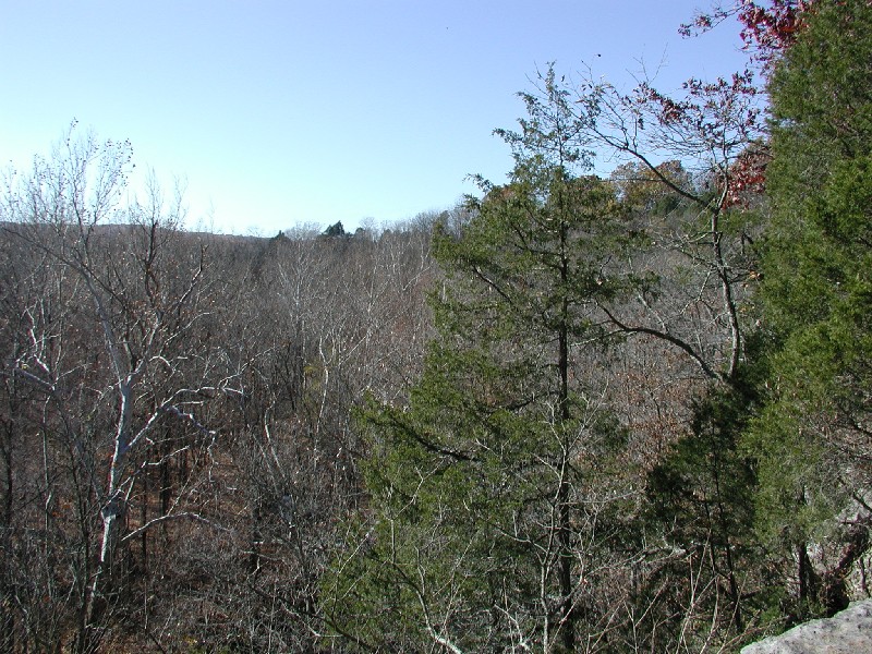 pb084407.jpg 203.2K