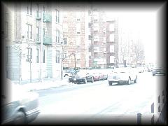 pc295193.jpg 101.2k bytes