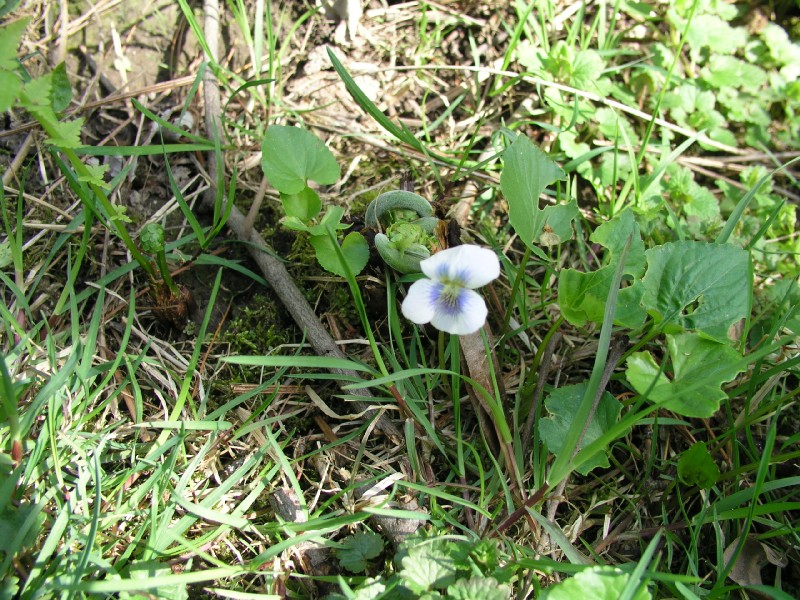 p4152005.jpg 196.8K