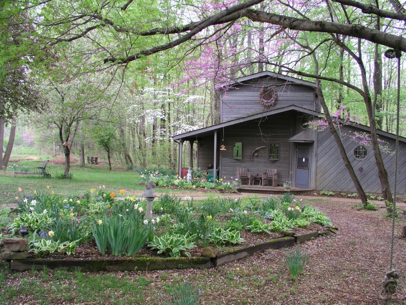p4203151.jpg 242.2K