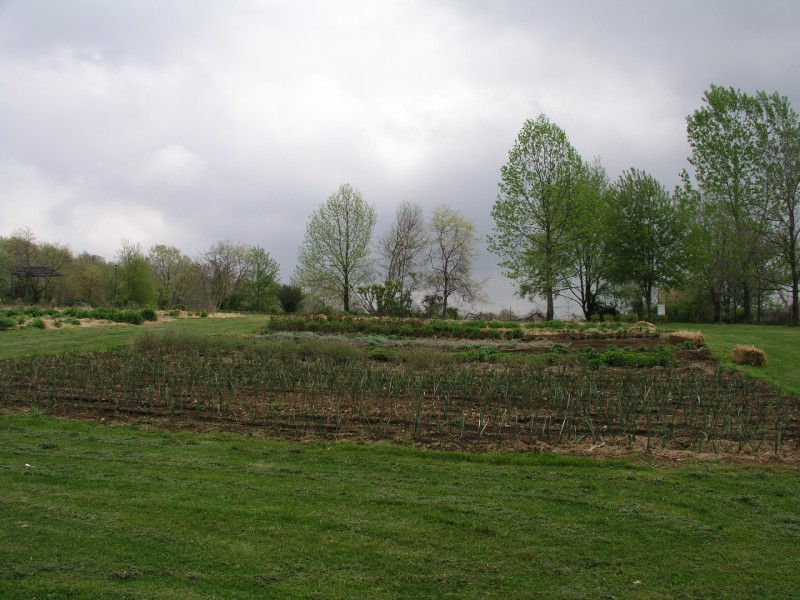 p4203174.jpg 142.2K