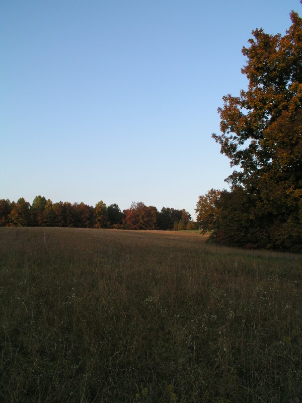 pa111152.jpg 101.2K