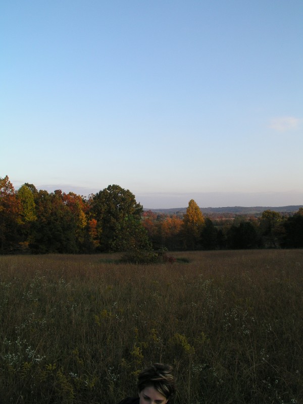 pa111156.jpg 76.7K