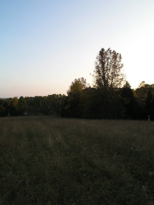 pa111159.jpg 80.7K