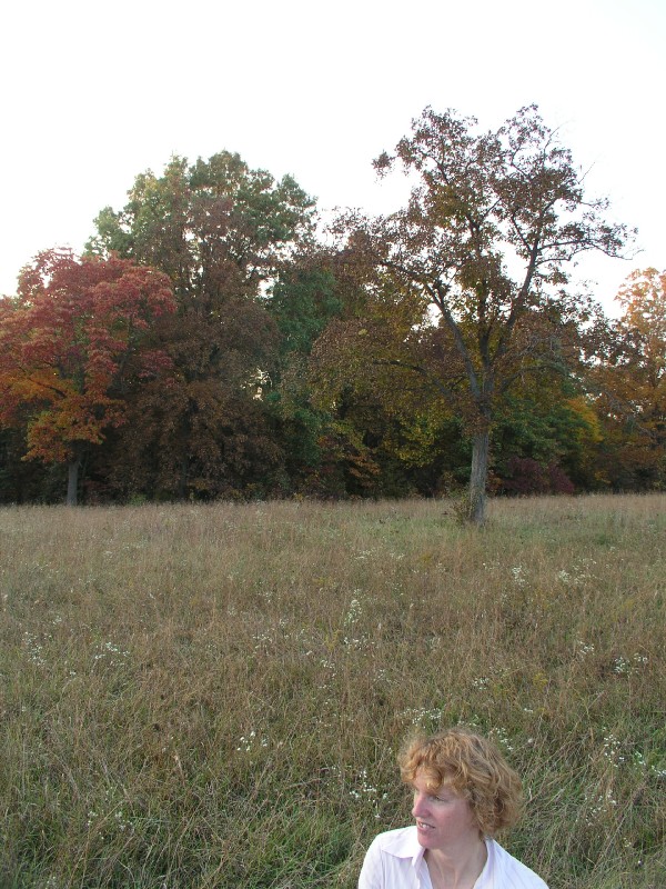 pa111164.jpg 165.8K