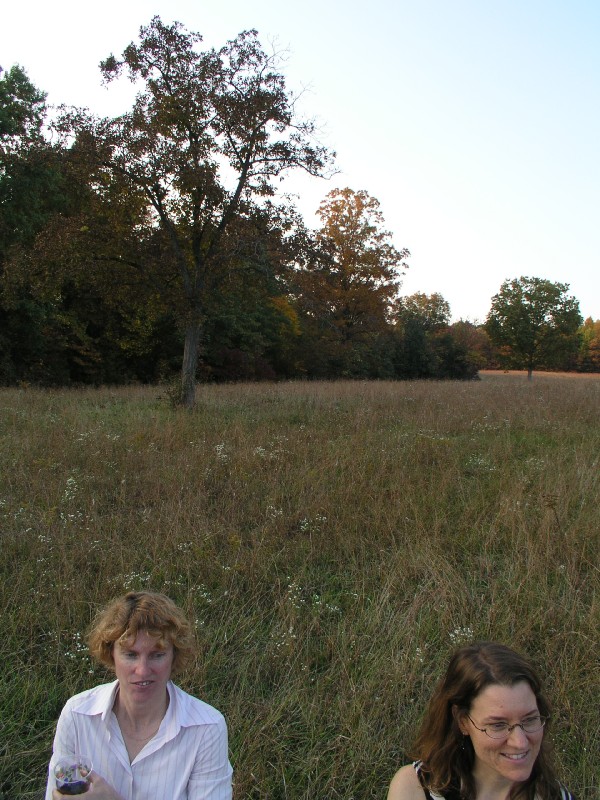 pa111165.jpg 154.2K