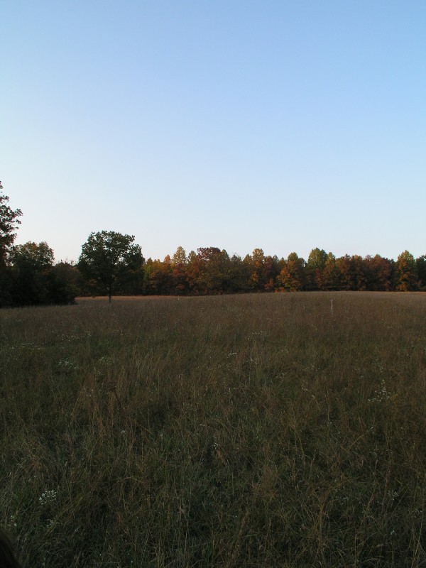 pa111167.jpg 92.1K