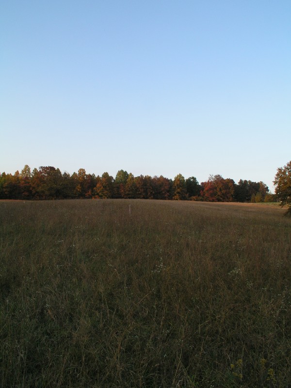pa111168.jpg 89.5K