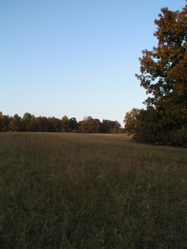 pa111169.jpg 108.7K
