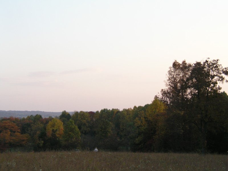 pa111171.jpg 58.4K
