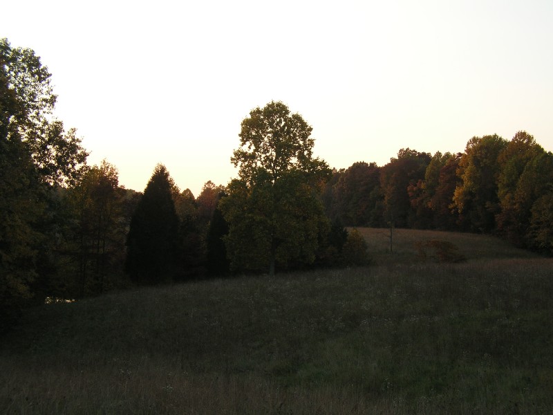 pa111172.jpg 79.2K