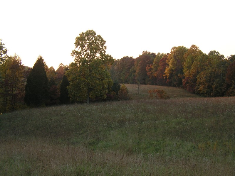 pa111173.jpg 100.6K