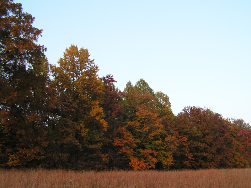 pa111174.jpg 107.7K
