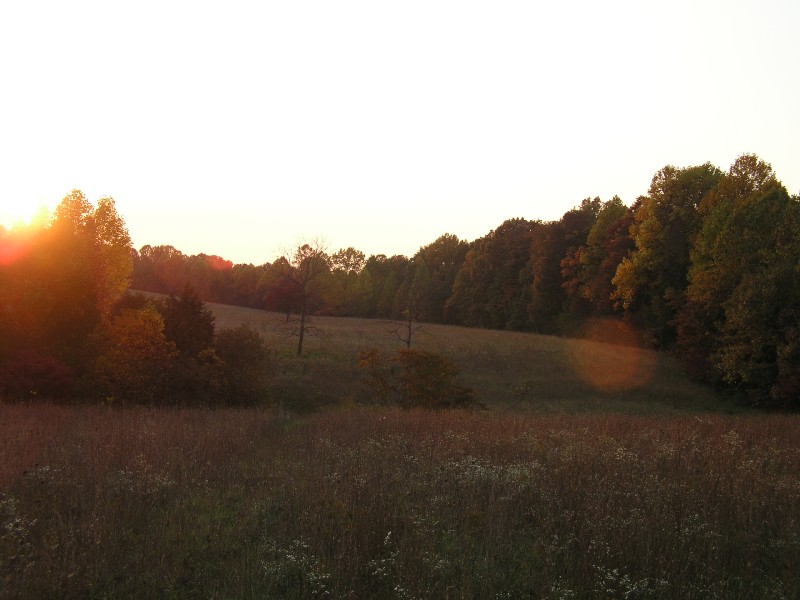 pa111175.jpg 79.3K