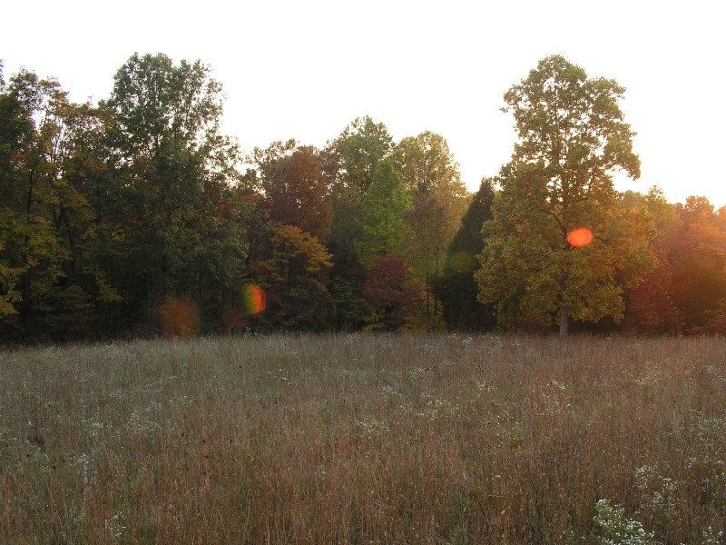 pa111178.jpg 143.4K