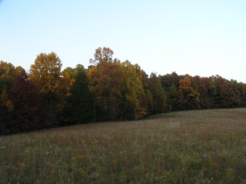pa111180.jpg 104.1K