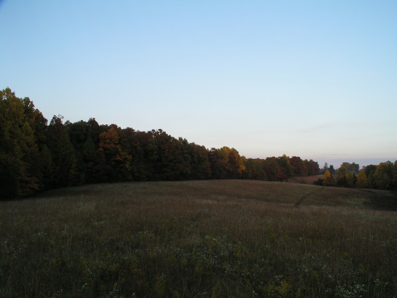 pa111181.jpg 69.3K