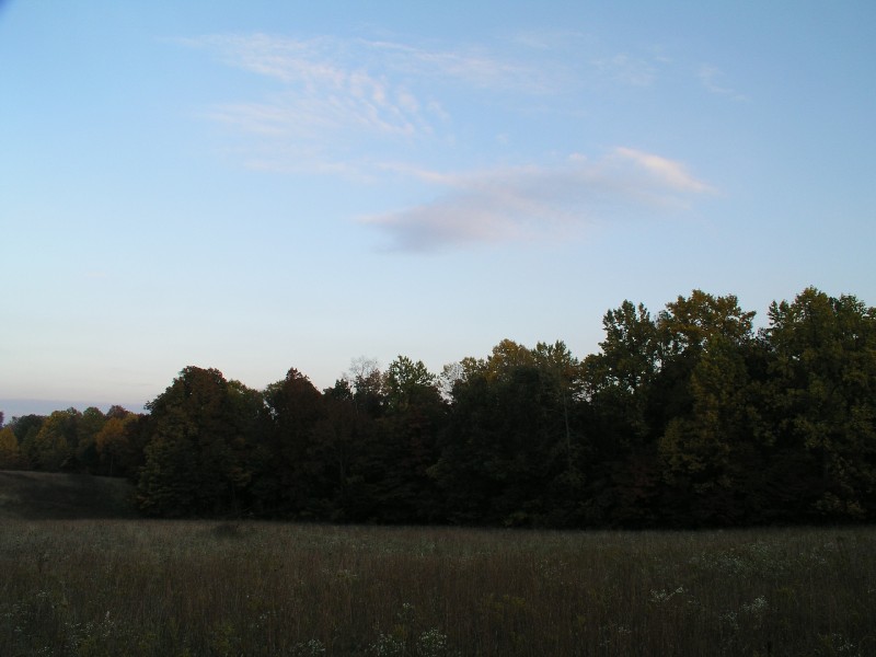 pa111185.jpg 66.7K