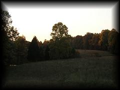 pa111172.jpg 79.2k bytes