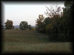 pa111176.jpg 120.0k bytes