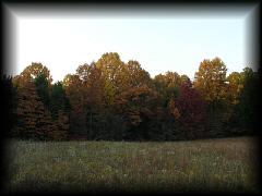 pa111179.jpg 113.3k bytes