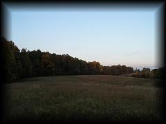 pa111181.jpg 69.3k bytes