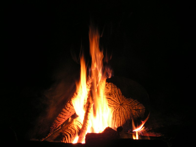 pa111263.jpg 50.2K