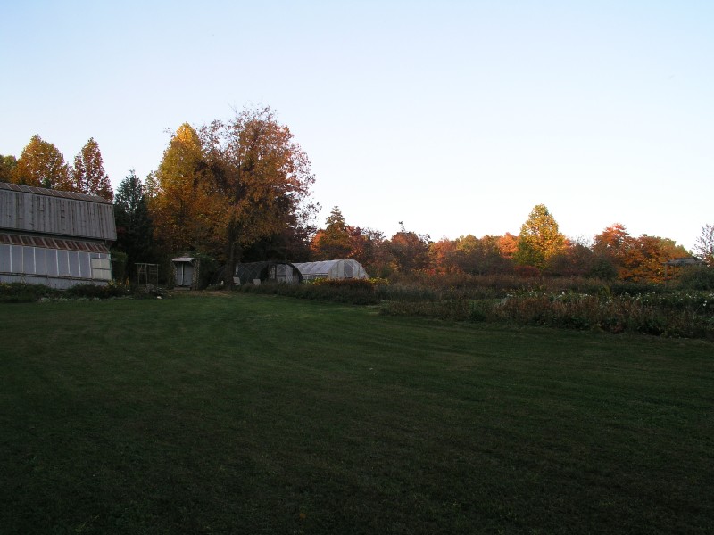 pa111108.jpg 87.8K