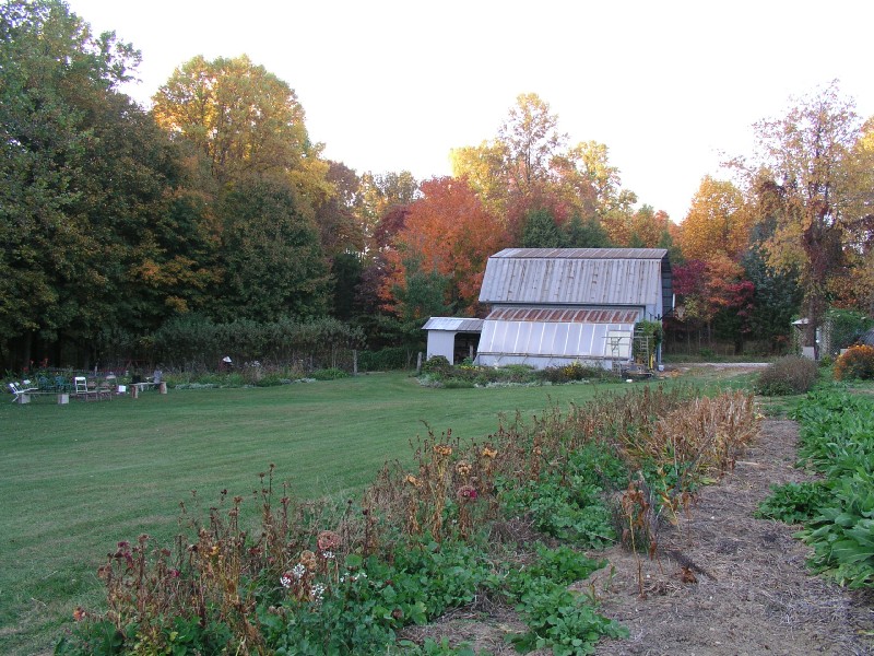 pa111110.jpg 170.1K