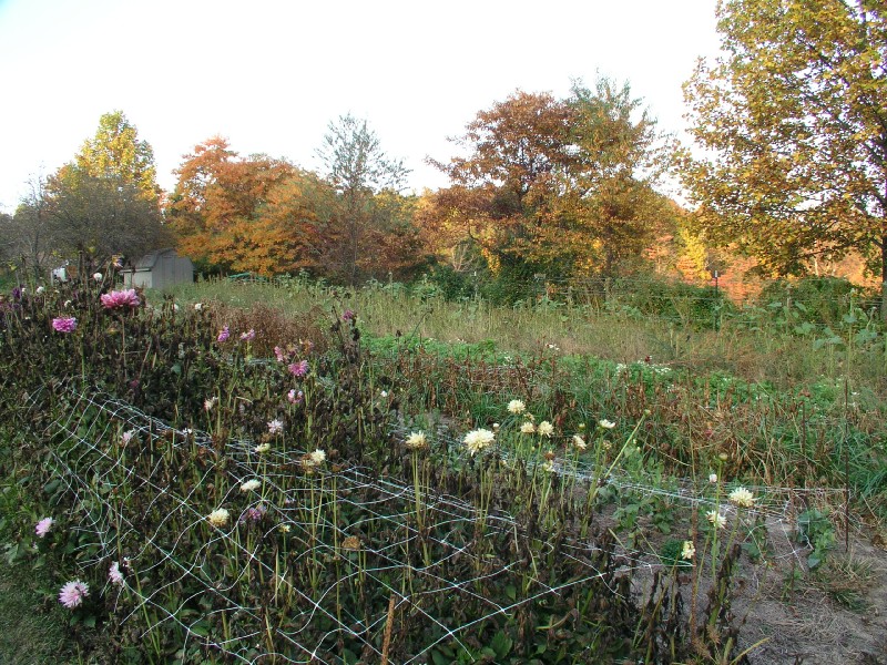 pa111117.jpg 210.1K