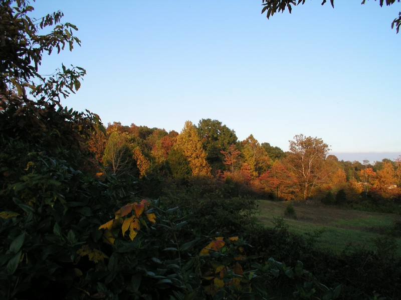 pa111122.jpg 105.0K