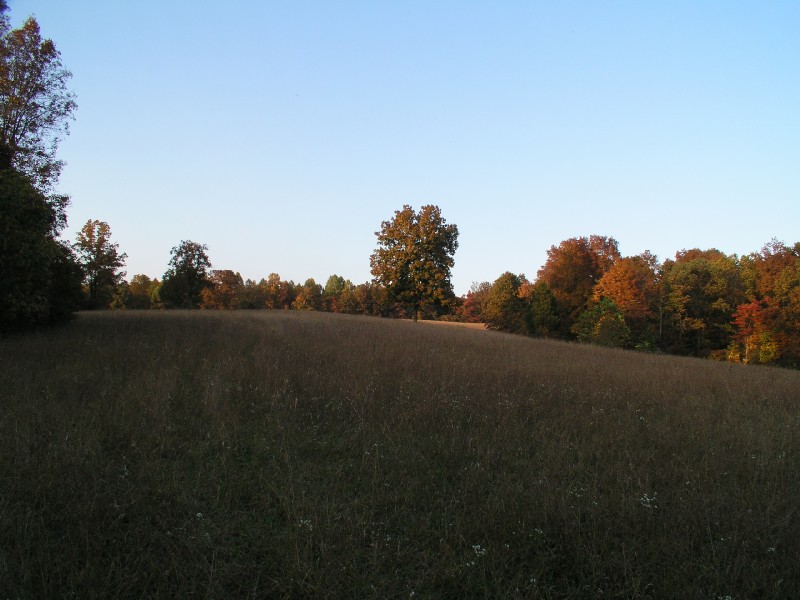 pa111127.jpg 92.9K