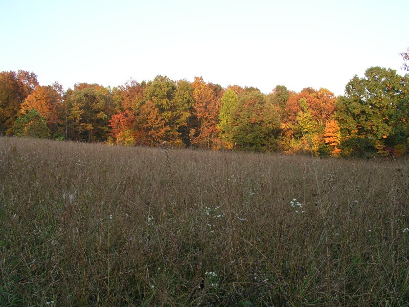 pa111136.jpg 153.3K