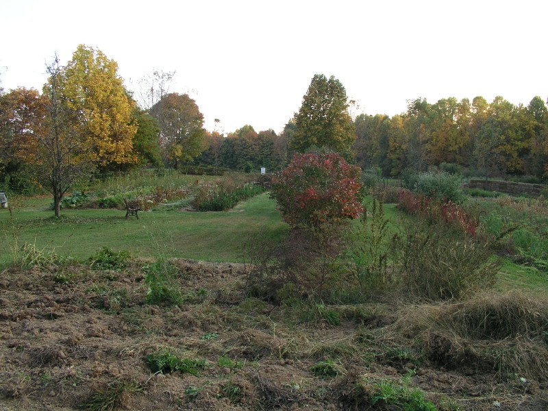 pa111137.jpg 161.1K